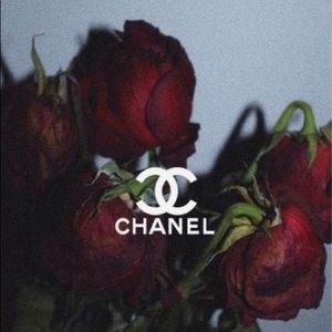 Meet your Posher, Isabella